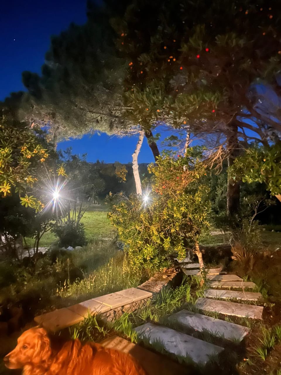 Casa Vacanza Baja Sardinia House in Sardinia