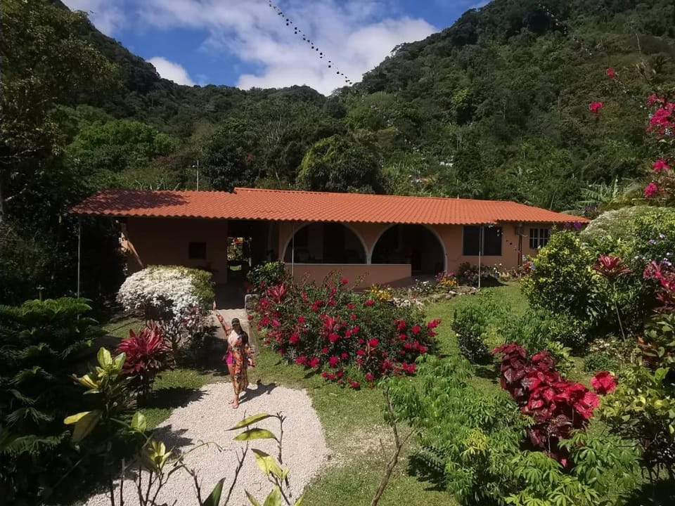 Property building, Garden