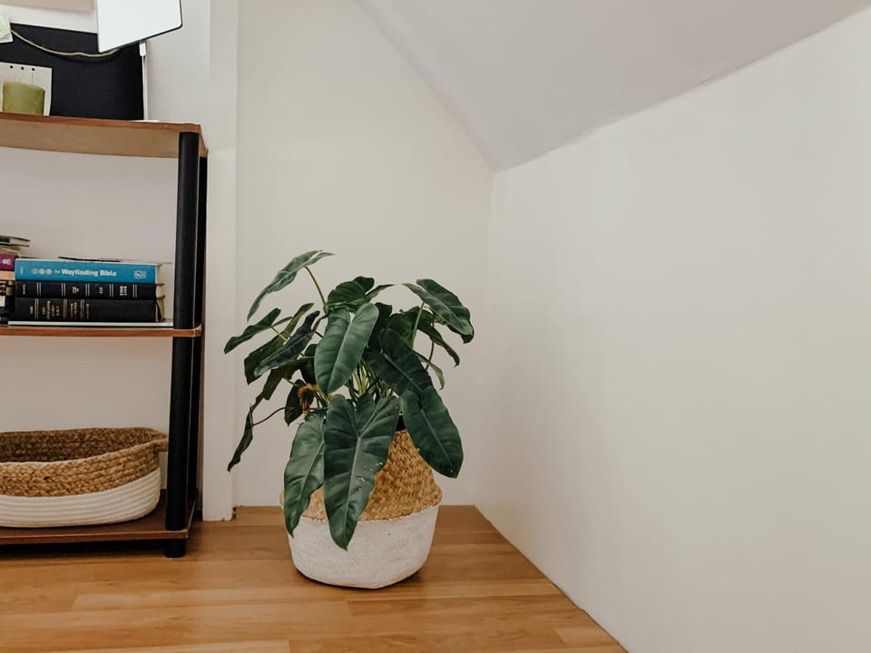 Spacious & Cozy Attic Studio Vacation rental in Iloilo City