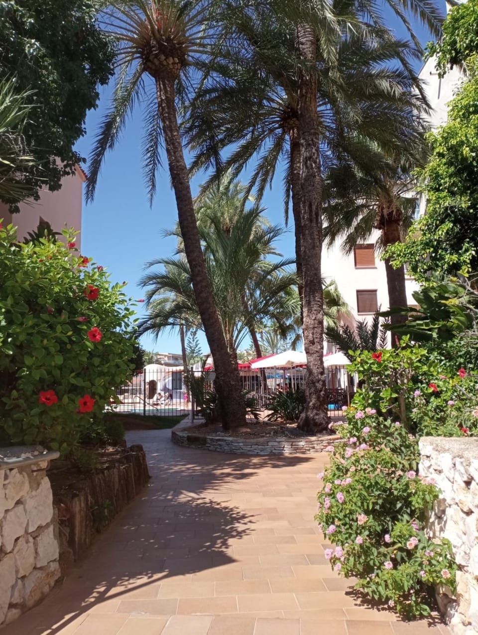 Apartamento Parchís con piscina Apartment in Marina Alta