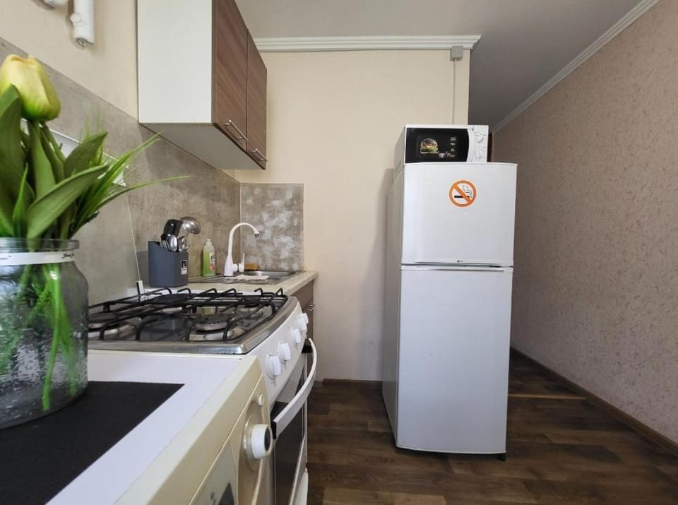 2-кімнатна квартира у центрі на Олександра Поля, шпиталь, 16лікарня Apartment in Dnipro