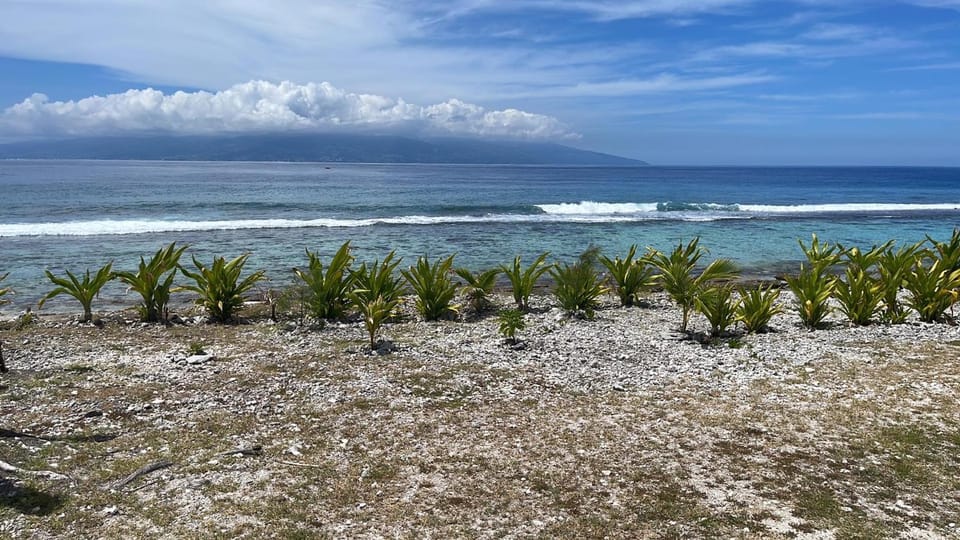 Beach, Sea view