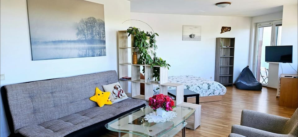 Vėžių 10 Apartment in Palanga