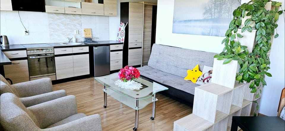 Vėžių 10 Apartment in Palanga