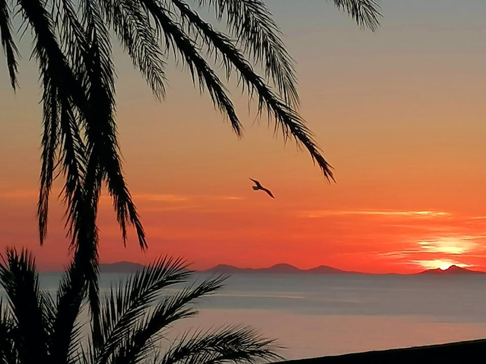 Sea view, Sunset