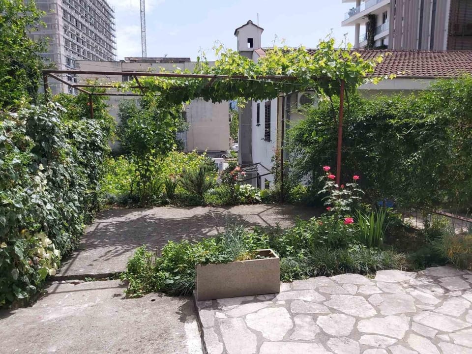 Garden view