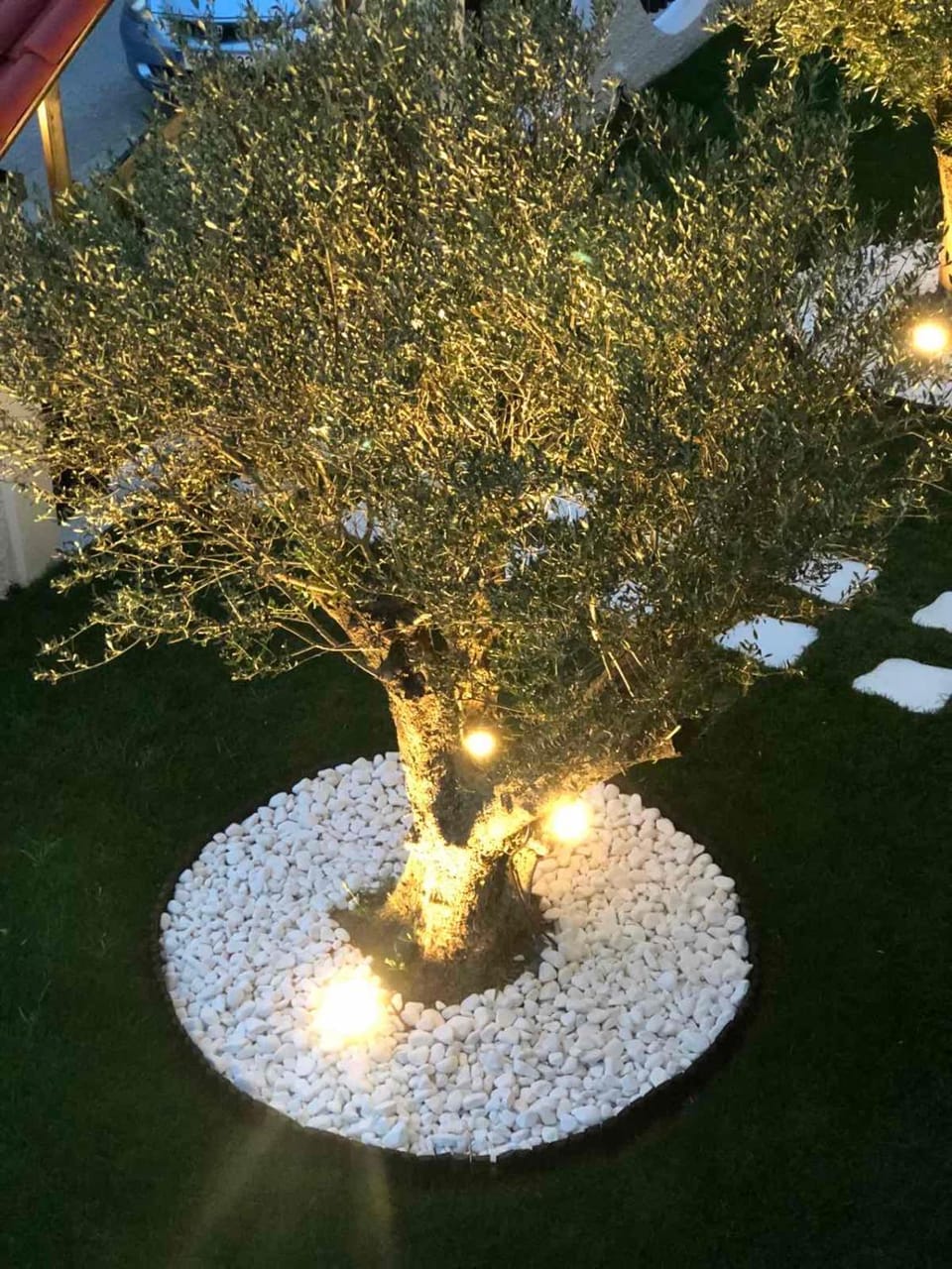 Garden, Garden view