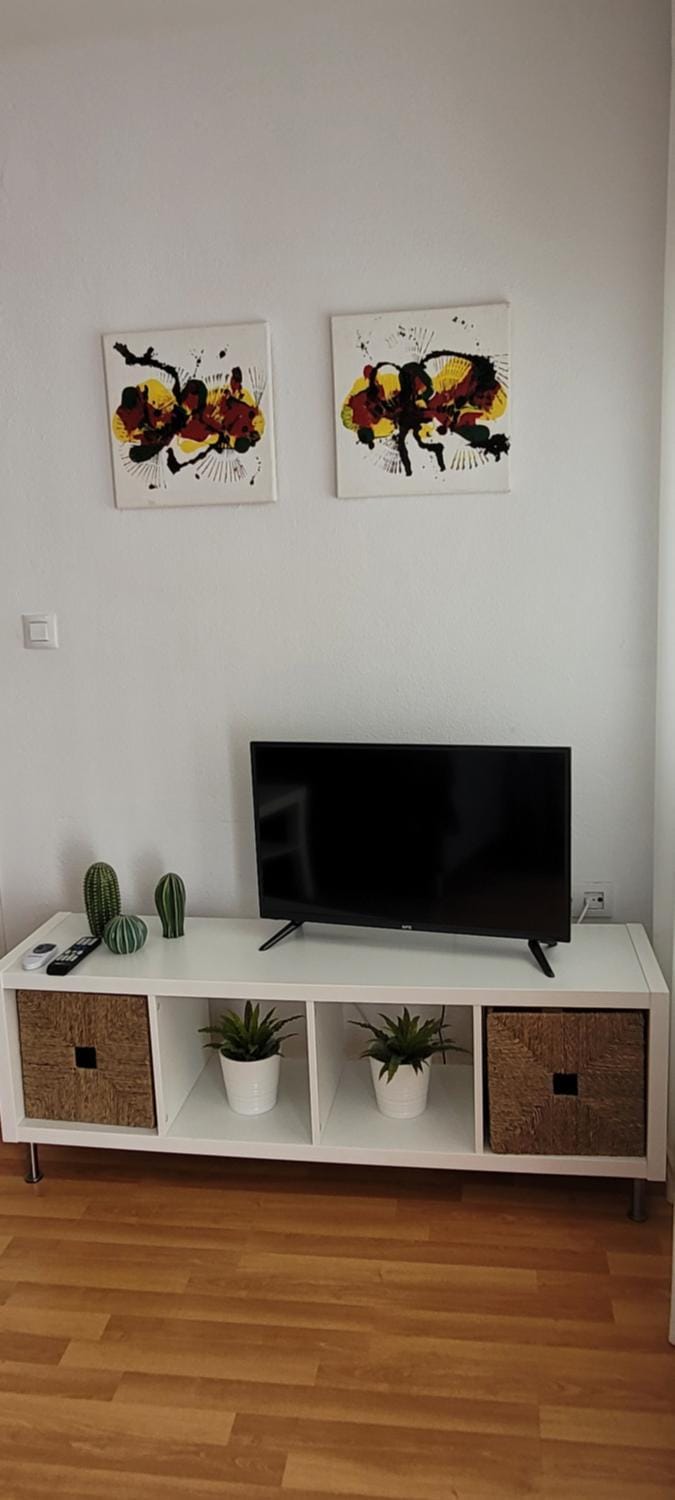 TV and multimedia