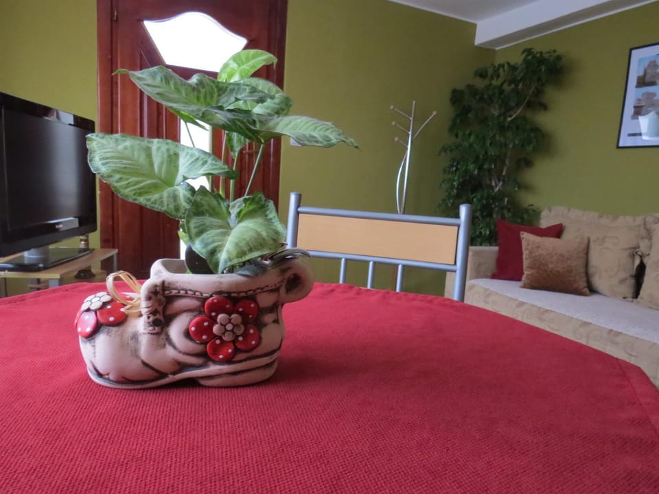 Apartman Bilja Apartment in Serbia