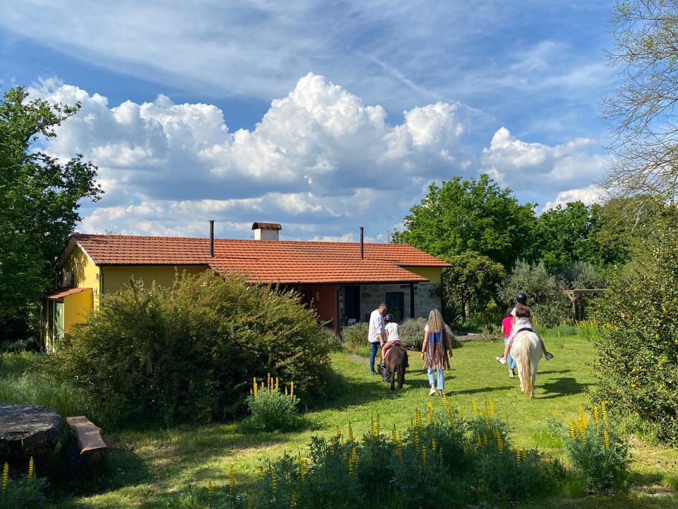 Activities, Animals, children