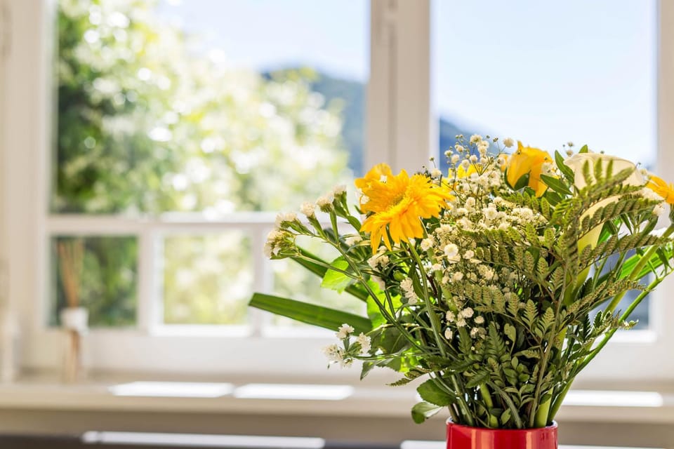 Garden Vista Lago Apartment in Como