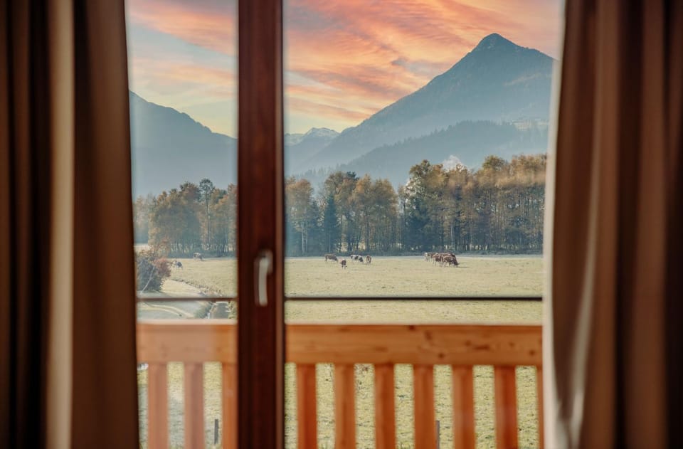 View (from property/room), View (from property/room)