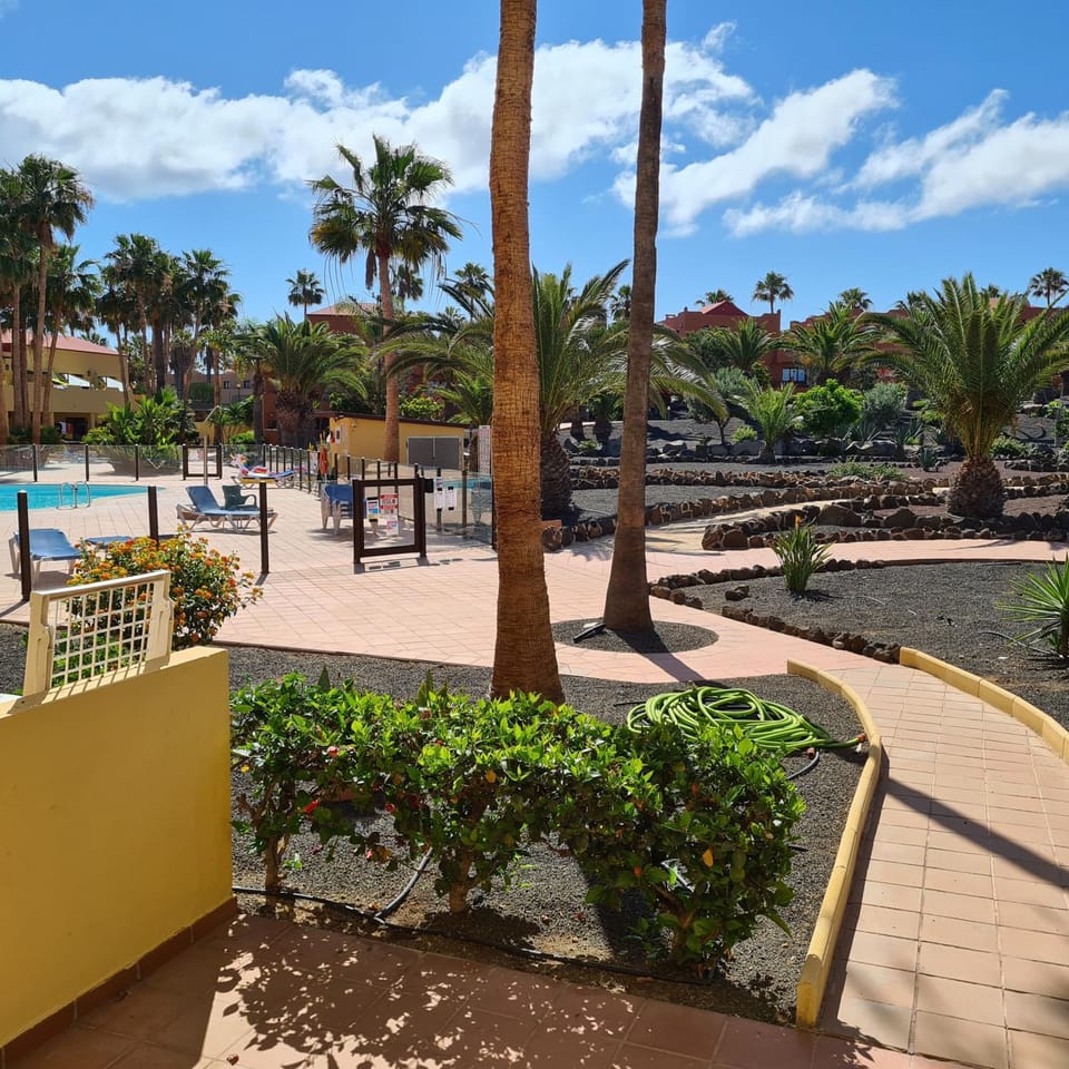 Pool view