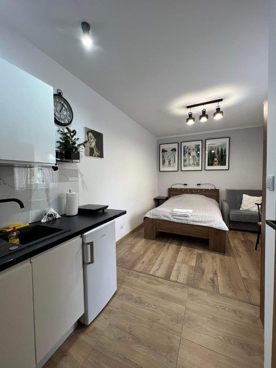 Bed, Kitchen or kitchenette, Photo of the whole room, Bedroom, pet friendly