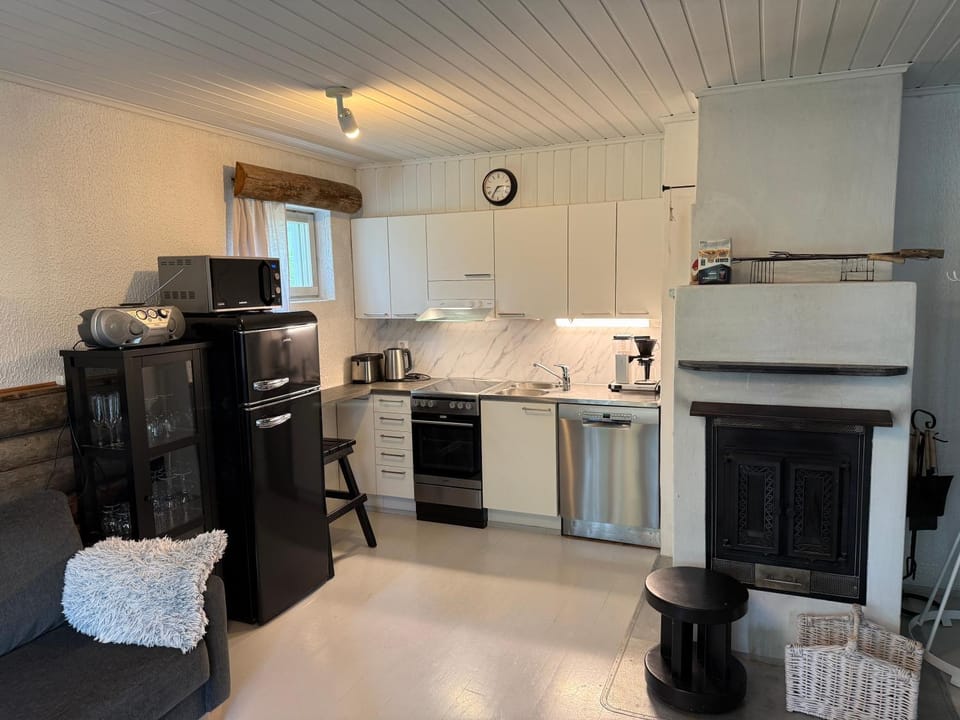 Kitchen or kitchenette, dishwasher, fireplace, oven, pet friendly, stove, toaster