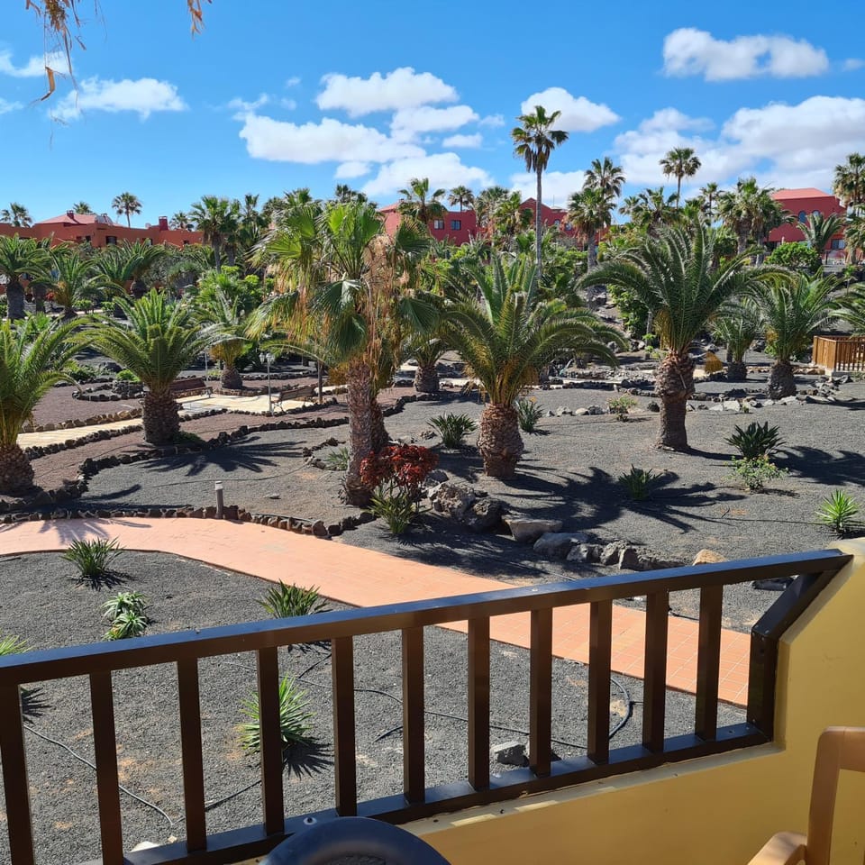 Garden view