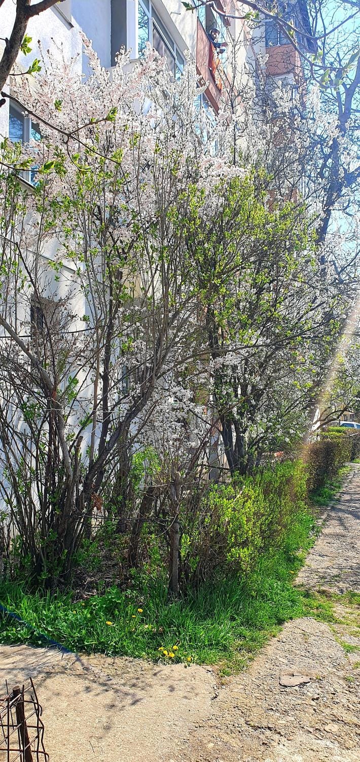 Natural landscape