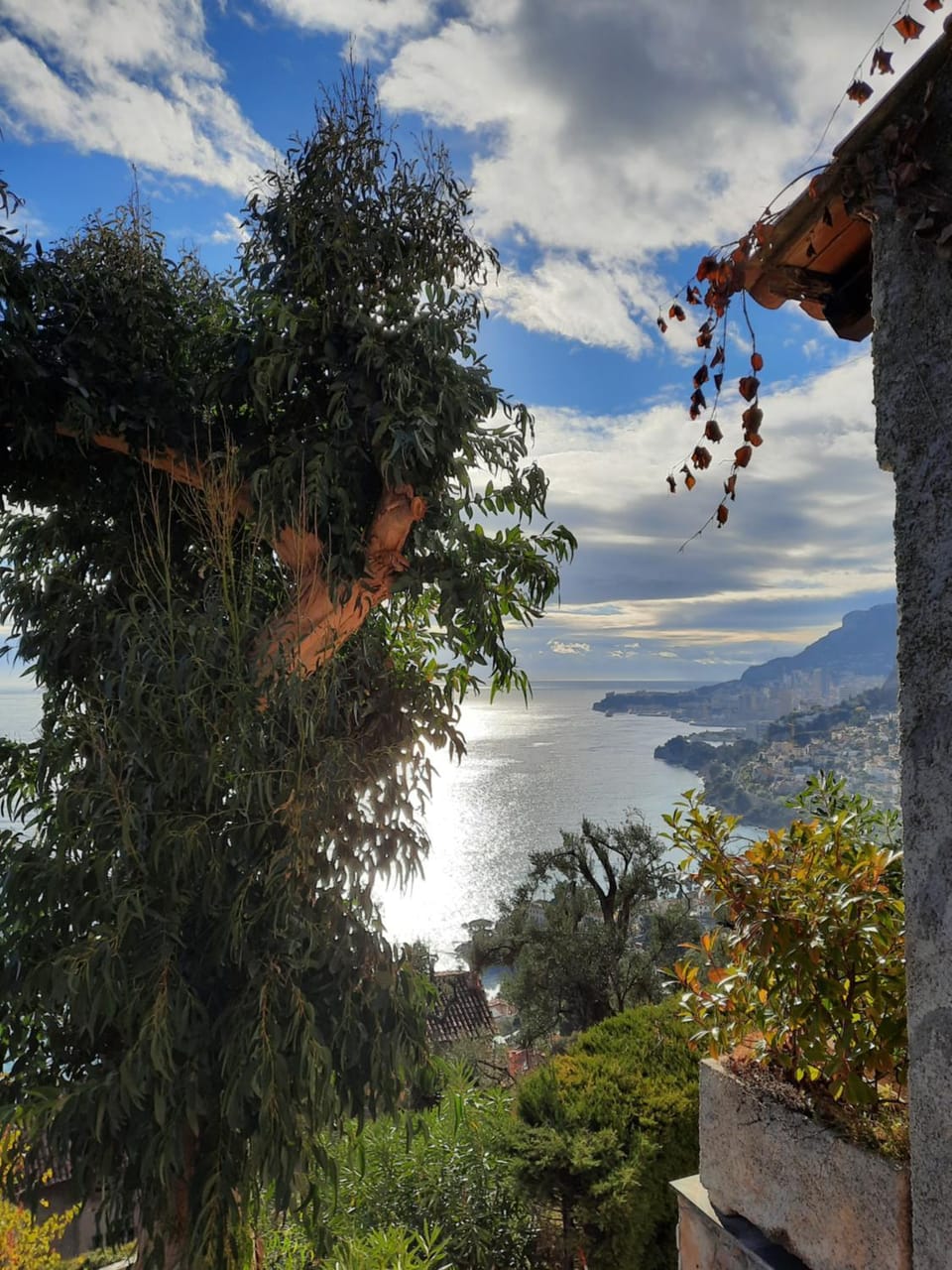 Soutariba Bed and Breakfast in Roquebrune-Cap-Martin