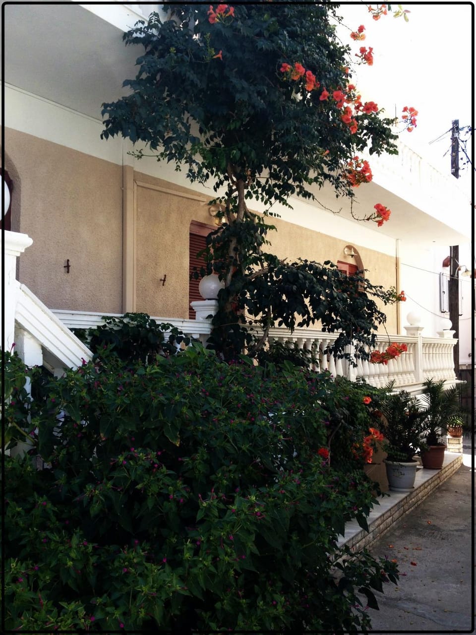Facade/entrance