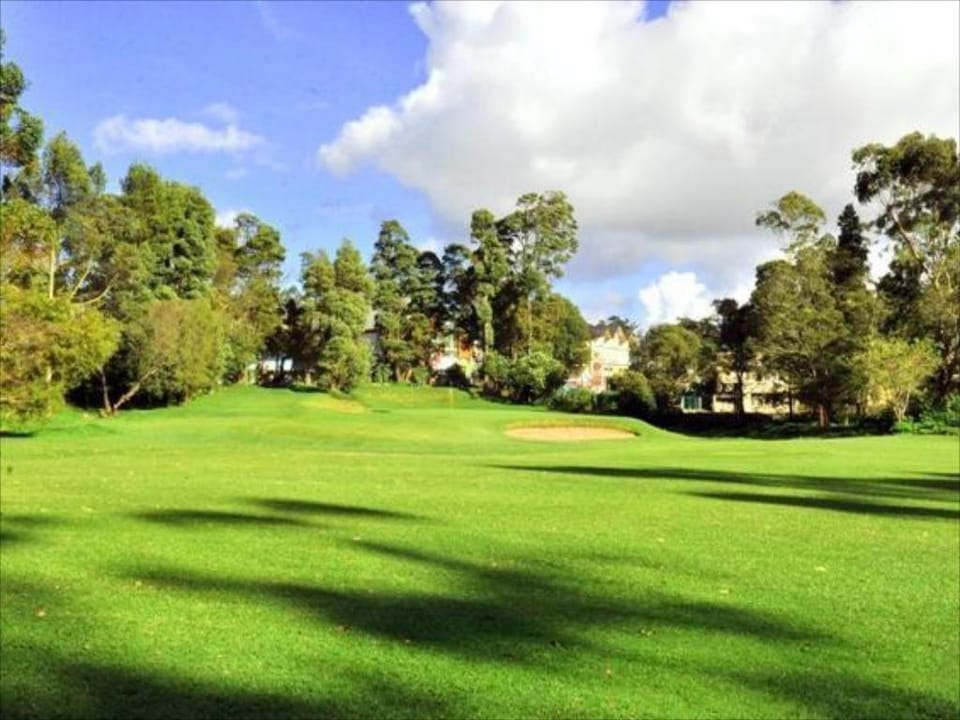 Golfcourse