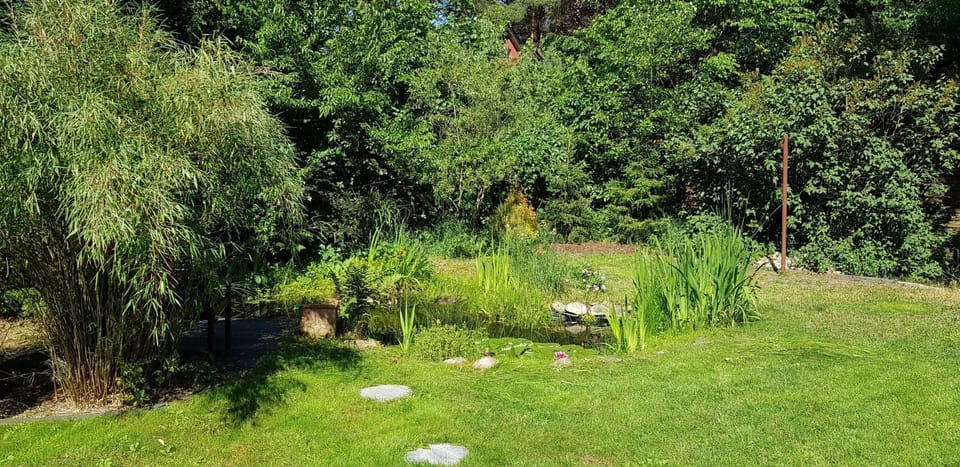 Ferienhaus Fichtenwalde, 160qm, 3SZ, 2BD, Küche, VDSL House in Schwielowsee