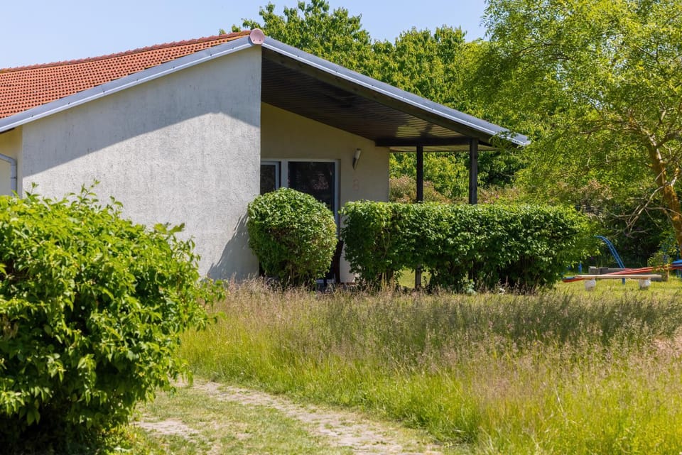 Property building, Garden, Garden view