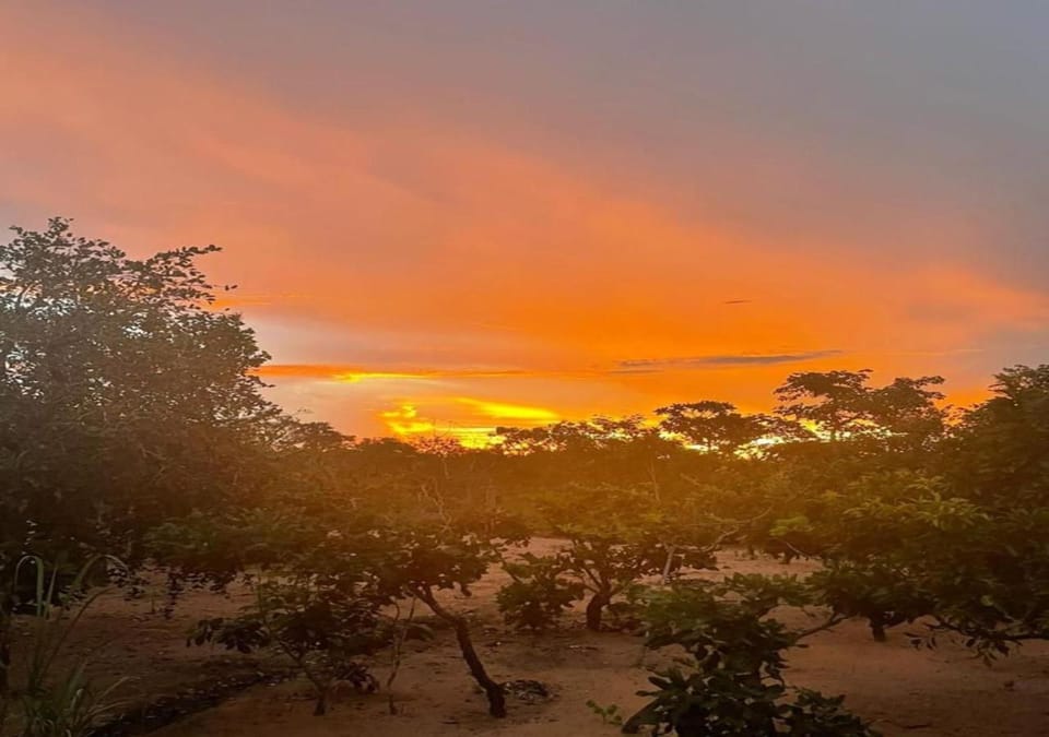 View (from property/room), Sunset