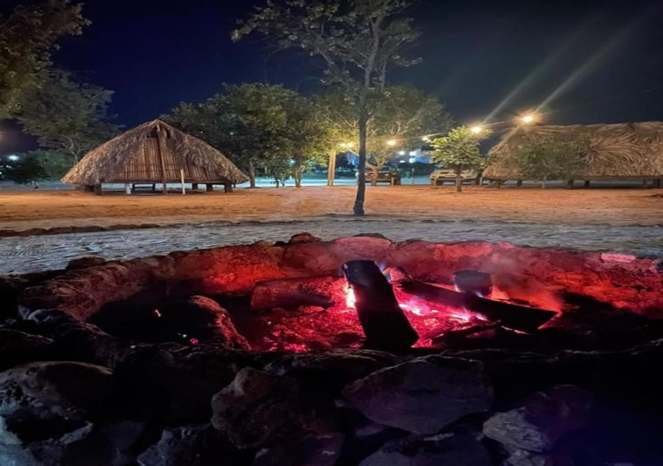 Night, Area and facilities