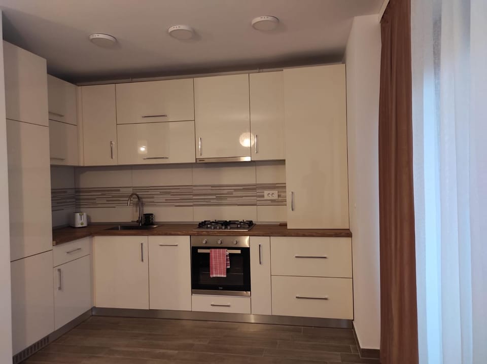 Armony Apartament Timisoara Apartment in Timisoara
