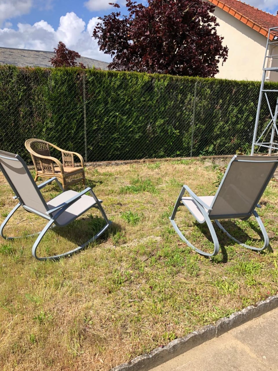 Natural landscape, Garden, sunbed
