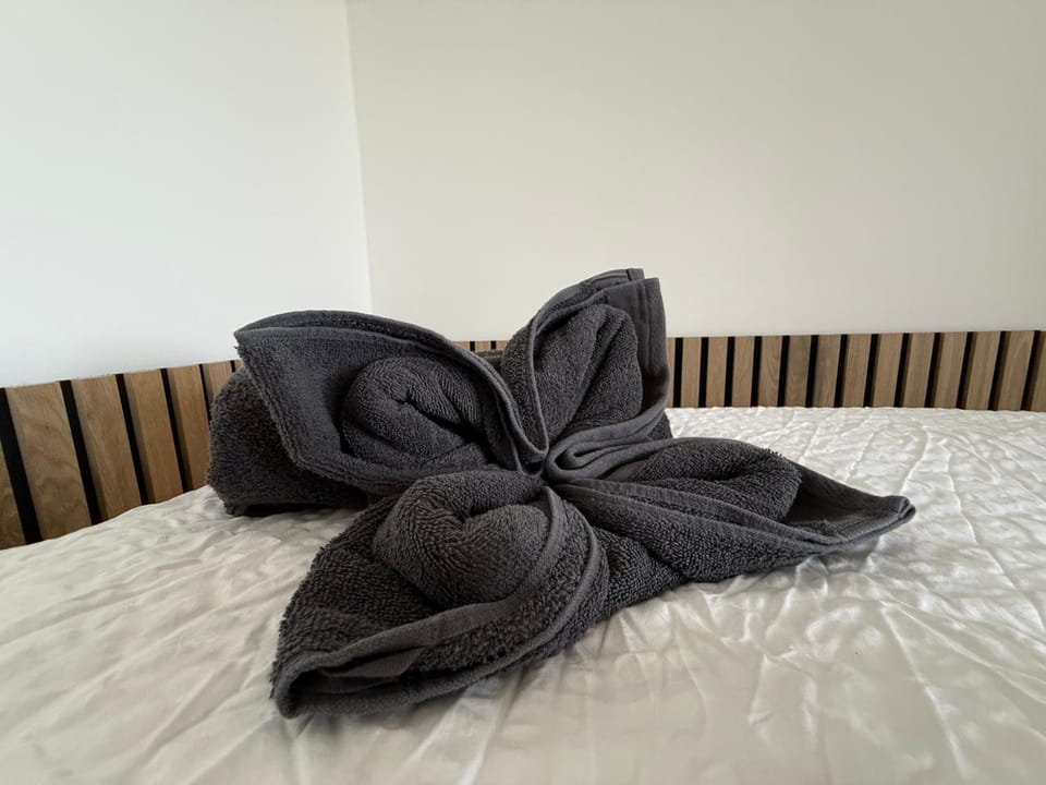 Bed, Photo of the whole room, Bedroom, towels