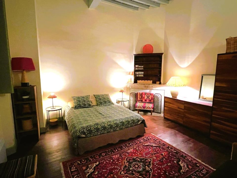 Palais des Papes - Spacious Historic Apartment in Private Mansion ! Free PARKING Nearby ! Spacieux Appartement Historique dans Hôtel Particulier ! PARKING à proximité Offert ! Apartment in Avignon