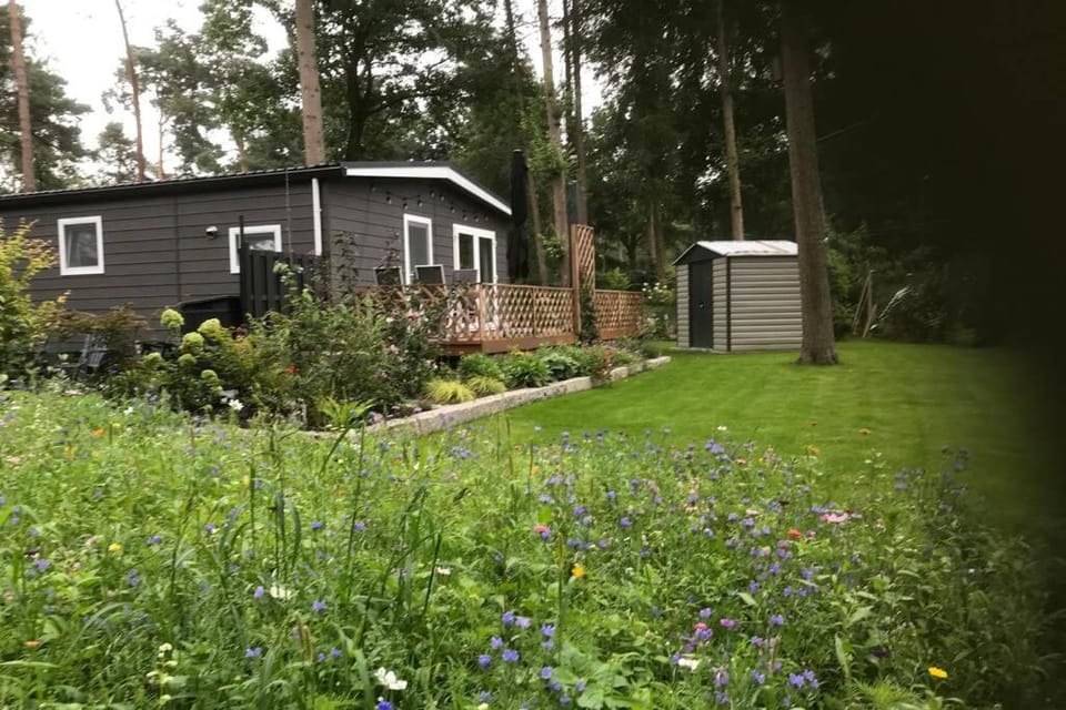 Japanse bostuin met Wifi Chalet in Overijssel (province)