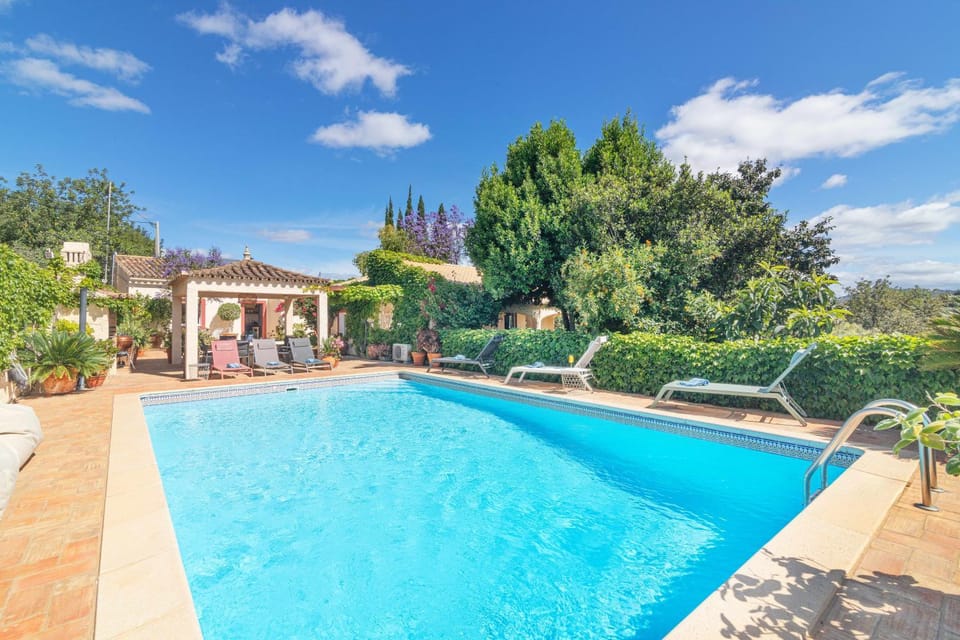 Day, Garden, Pool view, Swimming pool, Swimming pool, sunbed