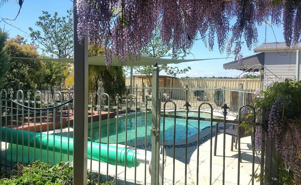 Activities, Summer, Garden, On site, Pets, Pool view, Swimming pool