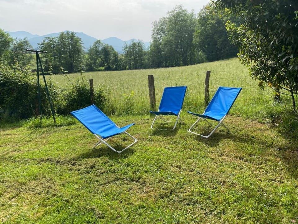 Garden, Garden view, Garden view
