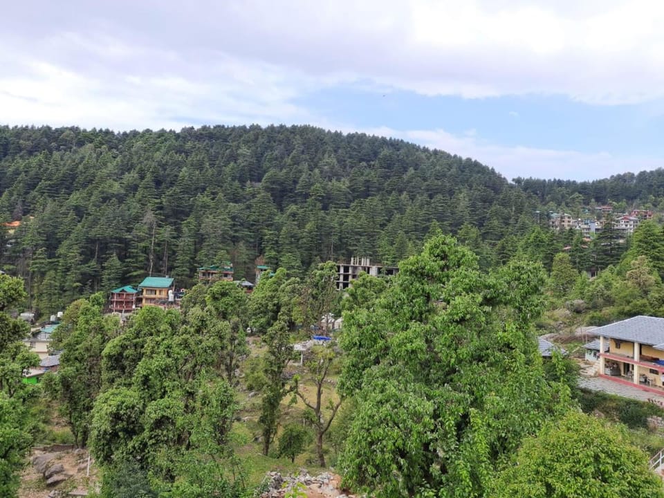 Neighbourhood, Natural landscape, Bird's eye view, Mountain view
