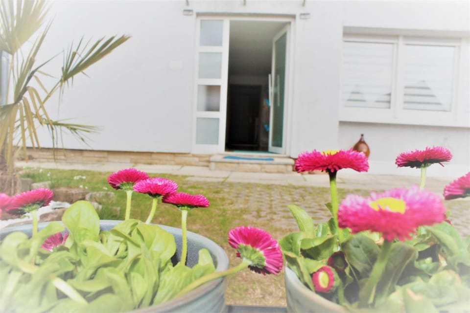 Facade/entrance, Garden