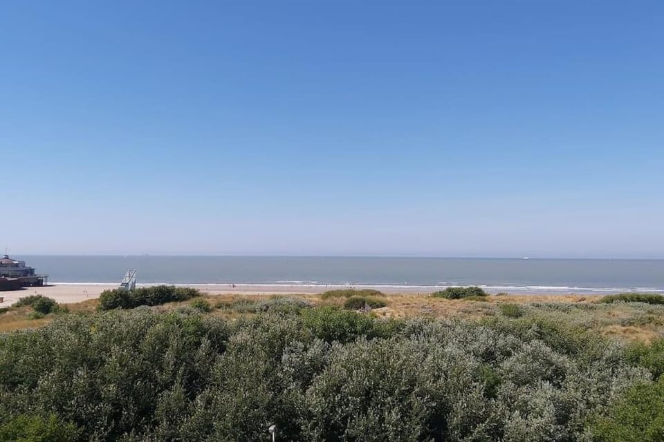 Natural landscape, Beach, Sea view