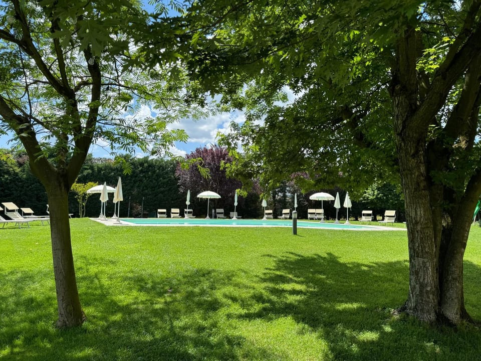 Day, Natural landscape, Garden, Garden view, Pool view, Swimming pool, sunbed