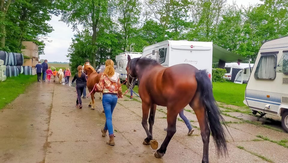 Boerderijcamping de Hinde Campground/ 
RV Resort in Flevoland, Netherlands