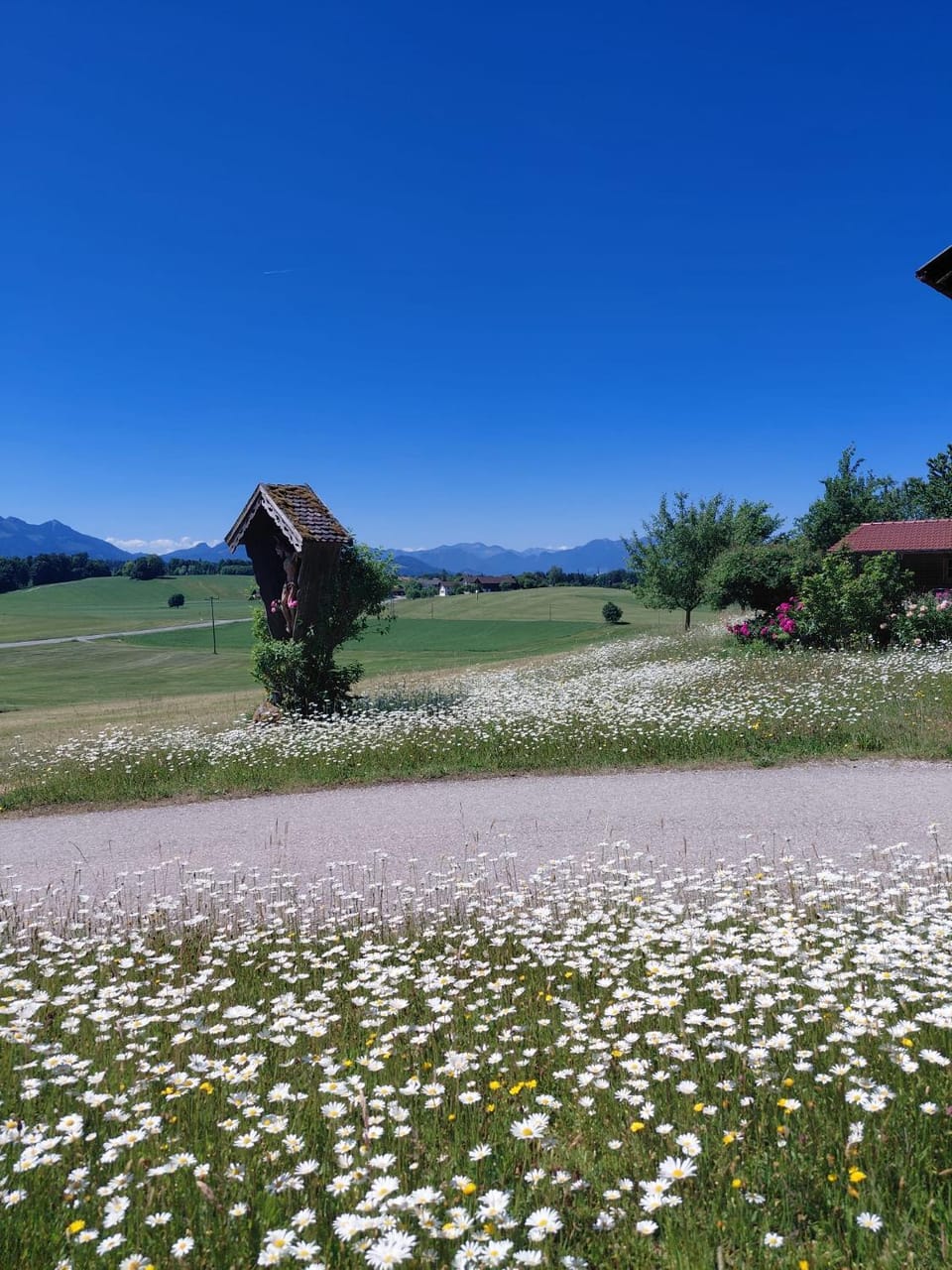 Asbichlerhof Apartment in Salzburgerland