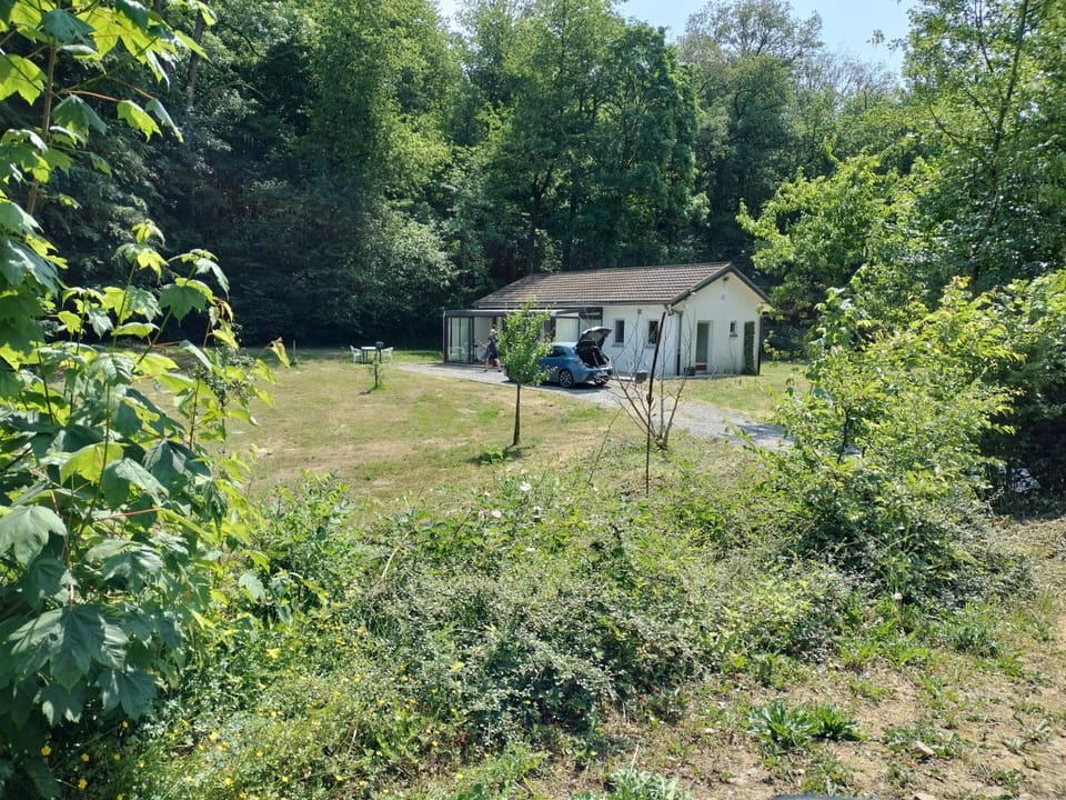 Property building, Spring, Day, Garden, Garden view
