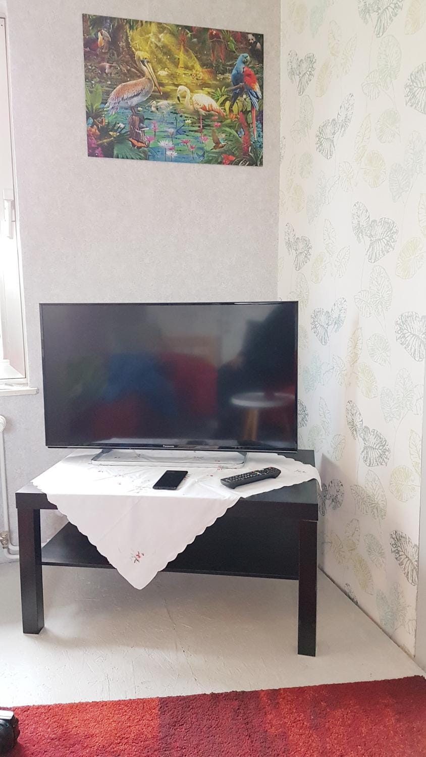 TV and multimedia