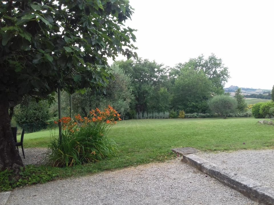 Garden, Garden view