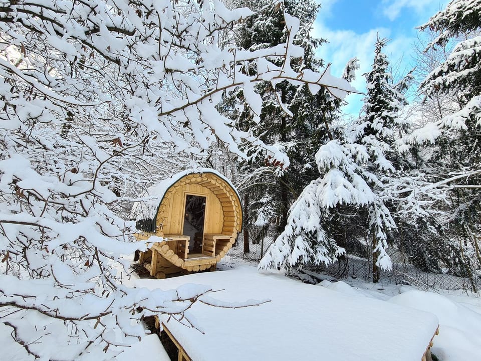 Winter, Sauna