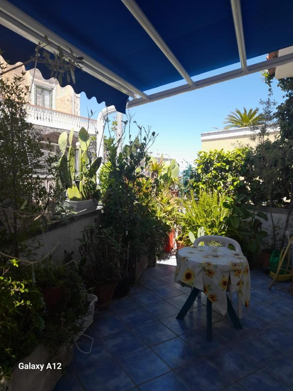 Casa vacanza maronti Apartment in Barano d'Ischia