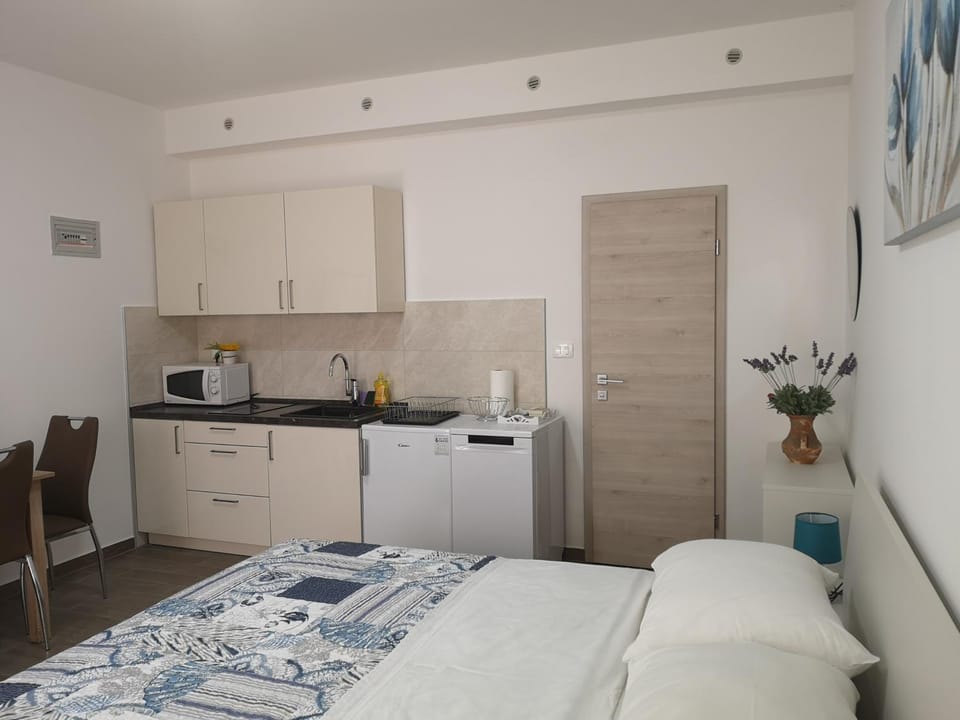 Kitchen or kitchenette, Bedroom