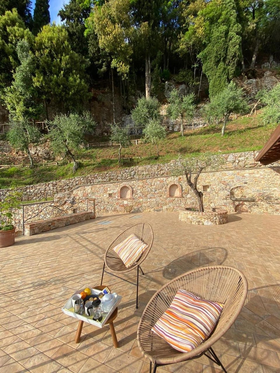 Patio, Garden, Garden view