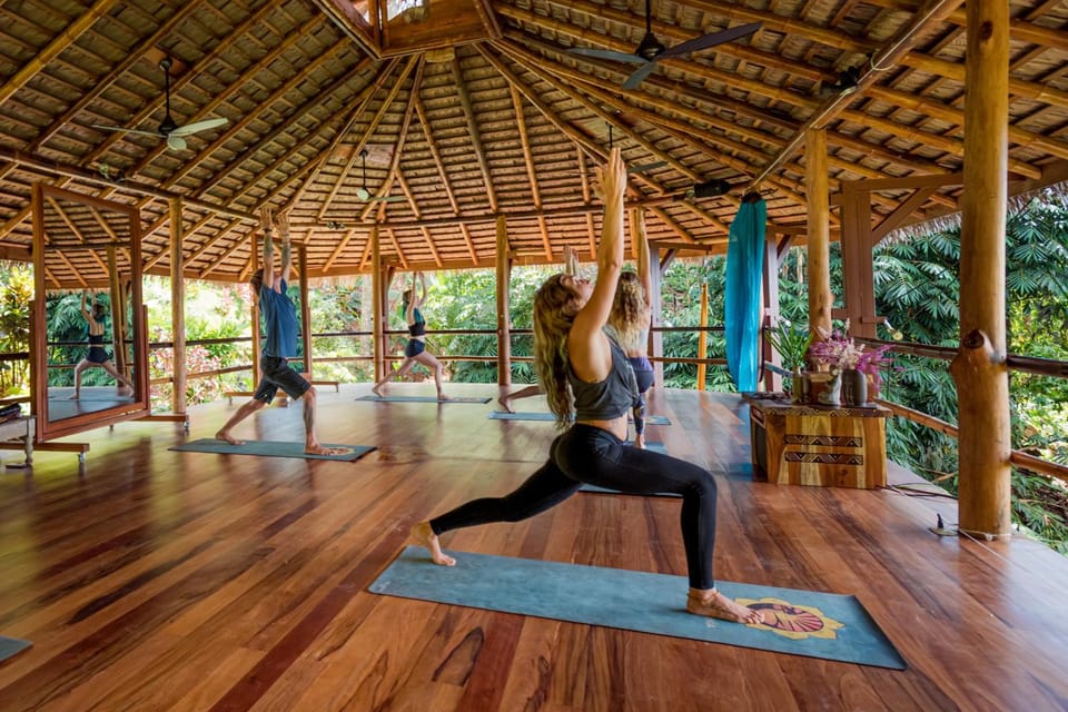 Property building, Spa and wellness centre/facilities, Area and facilities